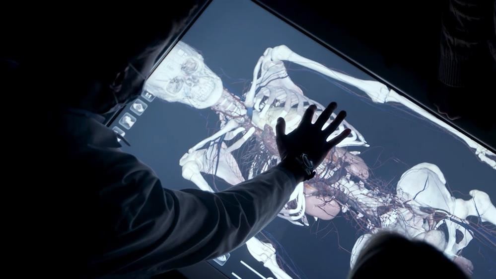 Anatomage Anatomage